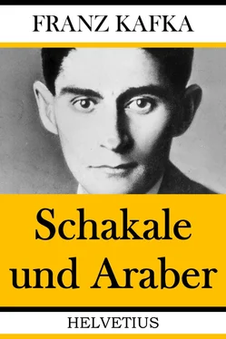 Franz Kafka Schakale und Araber обложка книги