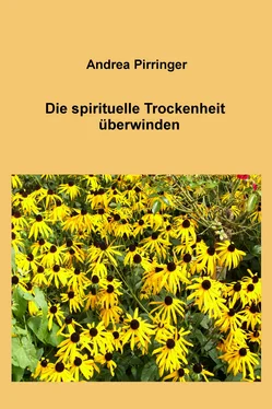 Andrea Pirringer Die spirituelle Trockenheit überwinden обложка книги