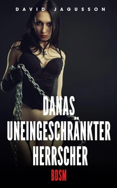 David Jagusson Danas uneingeschränkter Herrscher [BDSM] обложка книги