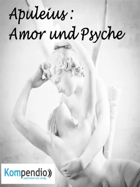 Alessandro Dallmann Amor und Psyche von Apuleius обложка книги