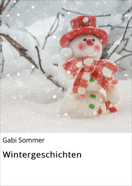 Gabi Sommer Wintergeschichten обложка книги