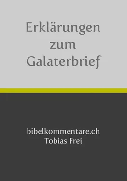 Tobias Frei Tobias Frei – Erklärungen zum Galaterbrief обложка книги