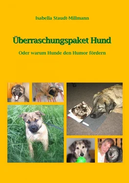 Isabella Staudt-Millmann Überraschungspaket Hund обложка книги