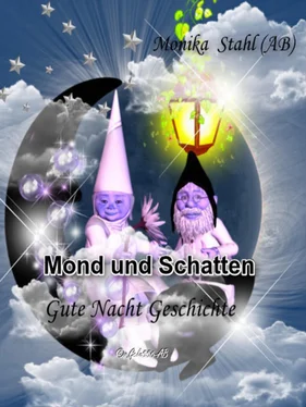 Monika Stahl Mond und Schatten обложка книги
