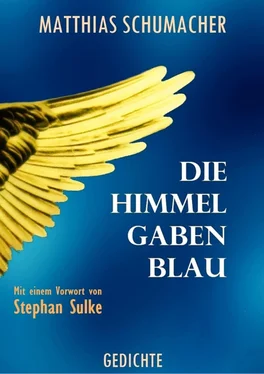 Matthias Schumacher Die Himmel gaben Blau обложка книги