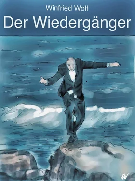 Winfried Wolf Der Wiedergänger обложка книги