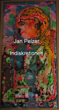 Jan Pelzer Indiskretionen обложка книги