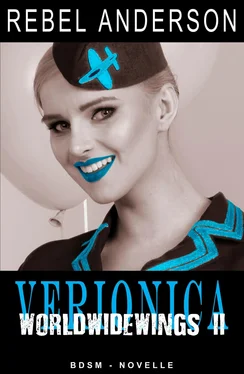 Rebel Anderson Veronica - World Wide Wings 2 обложка книги