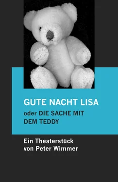 Peter Wimmer GUTE NACHT LISA oder DIE SACHE MIT DEM TEDDY обложка книги