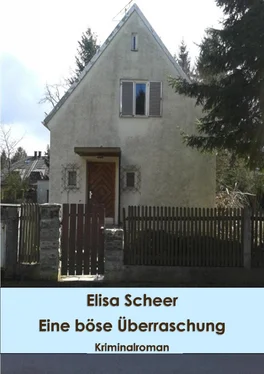 Elisa Scheer Eine böse Überraschung обложка книги