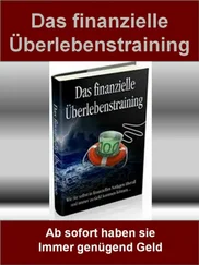 Heinrich von Canstatt - Das finanzielle Überlebenstraining
