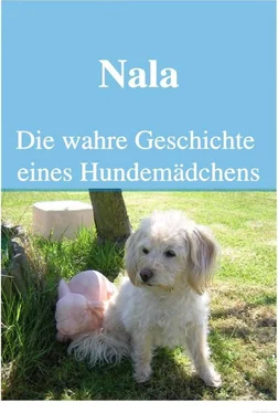 Icony Petlove Nala Die wahre Geschichte eines Hundemädchens обложка книги