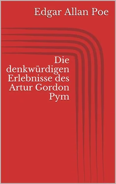 Edgar Allan Poe Die denkwürdigen Erlebnisse des Artur Gordon Pym обложка книги