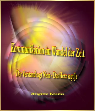 Brigitte Krems Kommunikation im Wandel der Zeit обложка книги