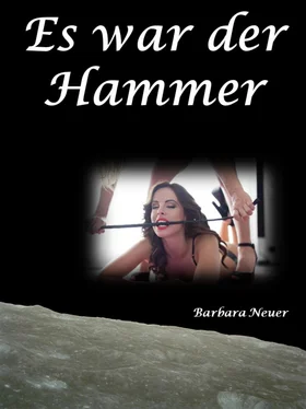 Barbara Neuer Es war der Hammer обложка книги