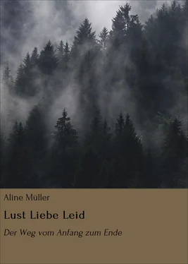 Aline Müller Lust Liebe Leid обложка книги