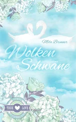 Mila Brenner - Wolkenschwäne