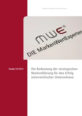 Manfred Enzlmüller Die Bedeutung der strategischen Markenführung für den Erfolg österreichischer Unternehmen обложка книги