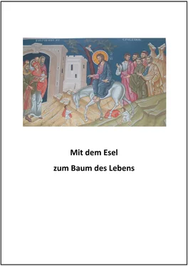 Jose Beslatz Mit dem Esel zum Baum des Lebens обложка книги