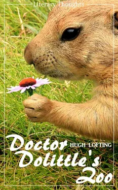 Hugh Lofting Doctor Dolittle's Zoo (Hugh Lofting) - with the original illustrations - (Literary Thoughts Edition) обложка книги