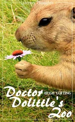Hugh Lofting - Doctor Dolittle's Zoo (Hugh Lofting) - with the original illustrations - (Literary Thoughts Edition)