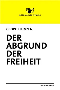 Georg Heinzen Der Abgrund der Freiheit обложка книги