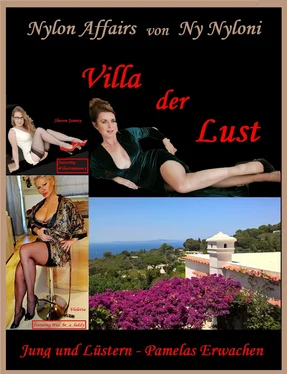 Ny Nyloni Villa der Lust обложка книги