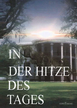 Gerd Thieme IN DER HITZE DES TAGES обложка книги
