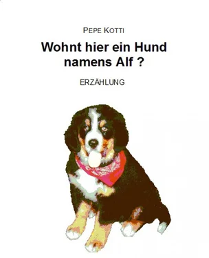 Pepe Kotti Wohnt hier ein Hund namens Alf? обложка книги