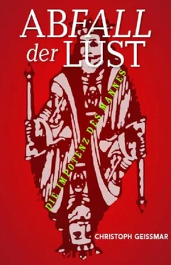 Christoph Geissmar Abfall der Lust обложка книги