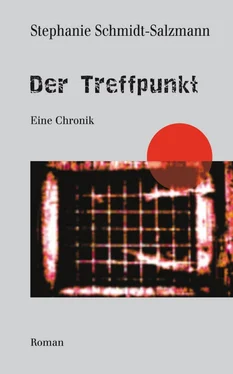 Stephanie Schmidt-Salzmann Der Treffpunkt - Eine Chronik обложка книги