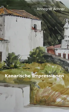 Annegret Achner Kanarische Impressionen обложка книги