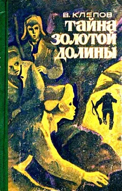 Василий Клепов Тайна Золотой долины. Повесть обложка книги