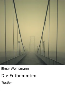 Elmar Weihsmann Die Enthemmten обложка книги