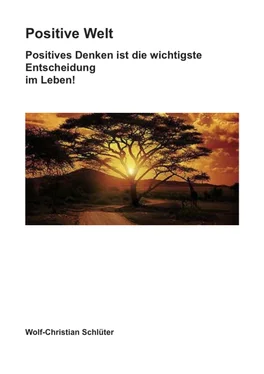 Wolf-Christian Schlüter Positive Welt обложка книги