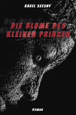 Karel Szesny Die Blume des kleinen Prinzen обложка книги