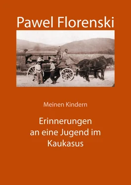 Pawel Florenski Meinen Kindern. Erinnerungen an eine Jugend im Kaukasus обложка книги
