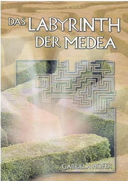 Gabriela Hofer Das Labyrinth der Medea обложка книги