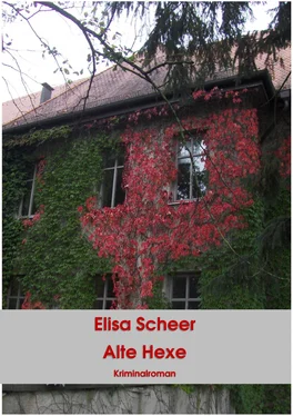 Elisa Scheer Alte Hexe обложка книги