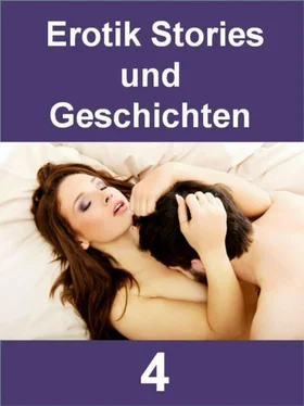 Kim Kurz Erotik Stories und Geschichten 4 - 353 Seiten обложка книги