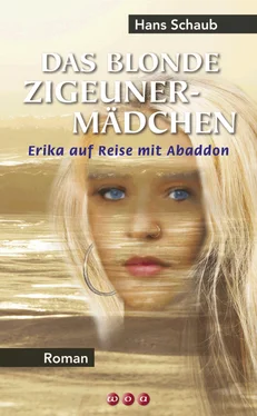 Hans Schaub Das blonde Zigeunermädchen обложка книги