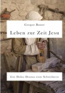 Gregor Bauer Leben zur Zeit Jesu. Ein Doku-Drama zum Schmökern обложка книги