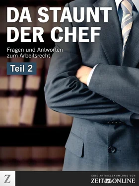 ZEIT ONLINE Da staunt der Chef - Teil 2 обложка книги