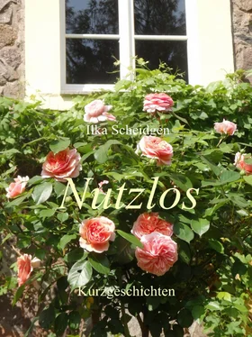 Ilka Scheidgen Nutzlos обложка книги