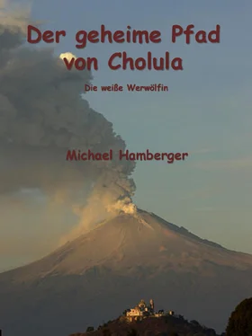 Michael Hamberger Der geheime Pfad von Cholula обложка книги