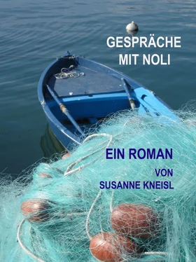 Susanne Kneisl Gespräche mit Noli обложка книги