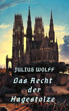 Julius Wolff Das Recht der Hagestolze обложка книги