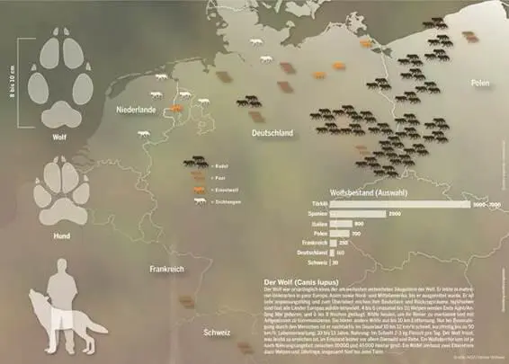 Grafik Heiner Wittwer Конец ознакомительного фрагмента Текст предоставлен - фото 18