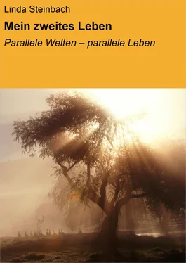 Linda Steinbach Mein zweites Leben обложка книги