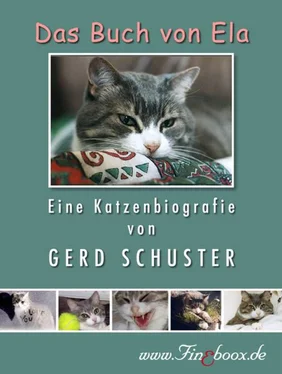 Gerd Schuster Das Buch von Ela обложка книги